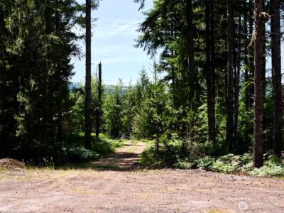 0 Phyllis Ann Block Court , Cougar, WA 98616 - Photo 6