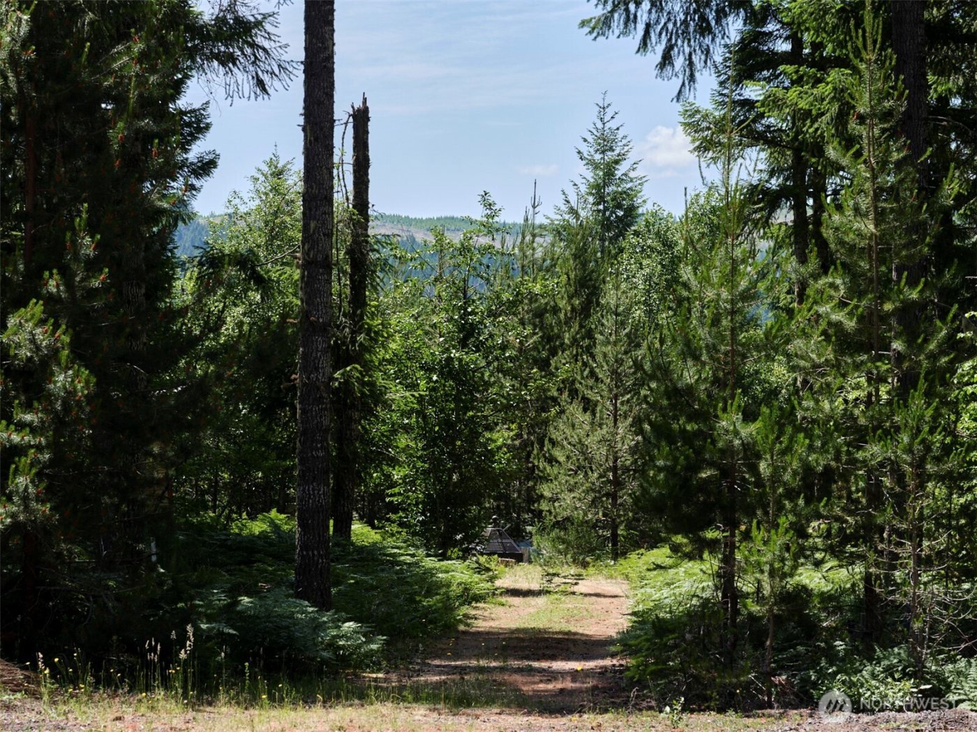 0 Phyllis Ann Block Court , Cougar, WA 98616