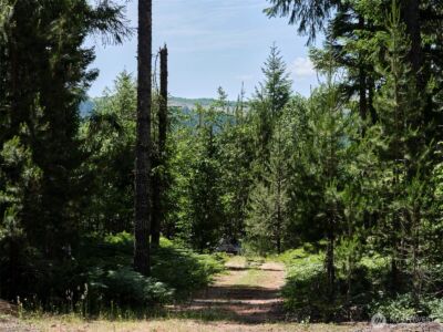 0 Phyllis Ann Block Court , Cougar, WA 98616 - Photo 7