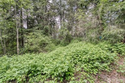 3214 77th Avenue NW, Gig Harbor, WA 98335 - Photo 11