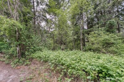 3214 77th Avenue NW, Gig Harbor, WA 98335 - Photo 12