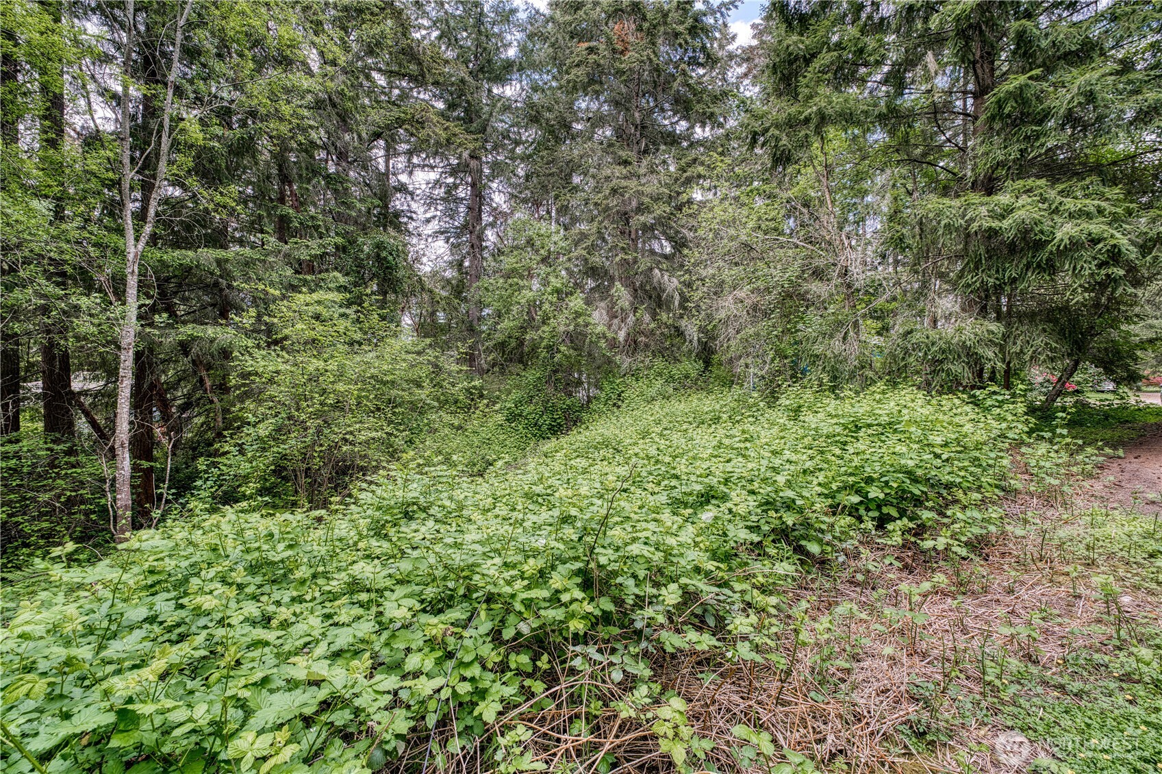 3214 77th Avenue NW, Gig Harbor, WA 98335