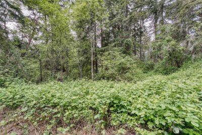 3214 77th Avenue NW, Gig Harbor, WA 98335 - Photo 10