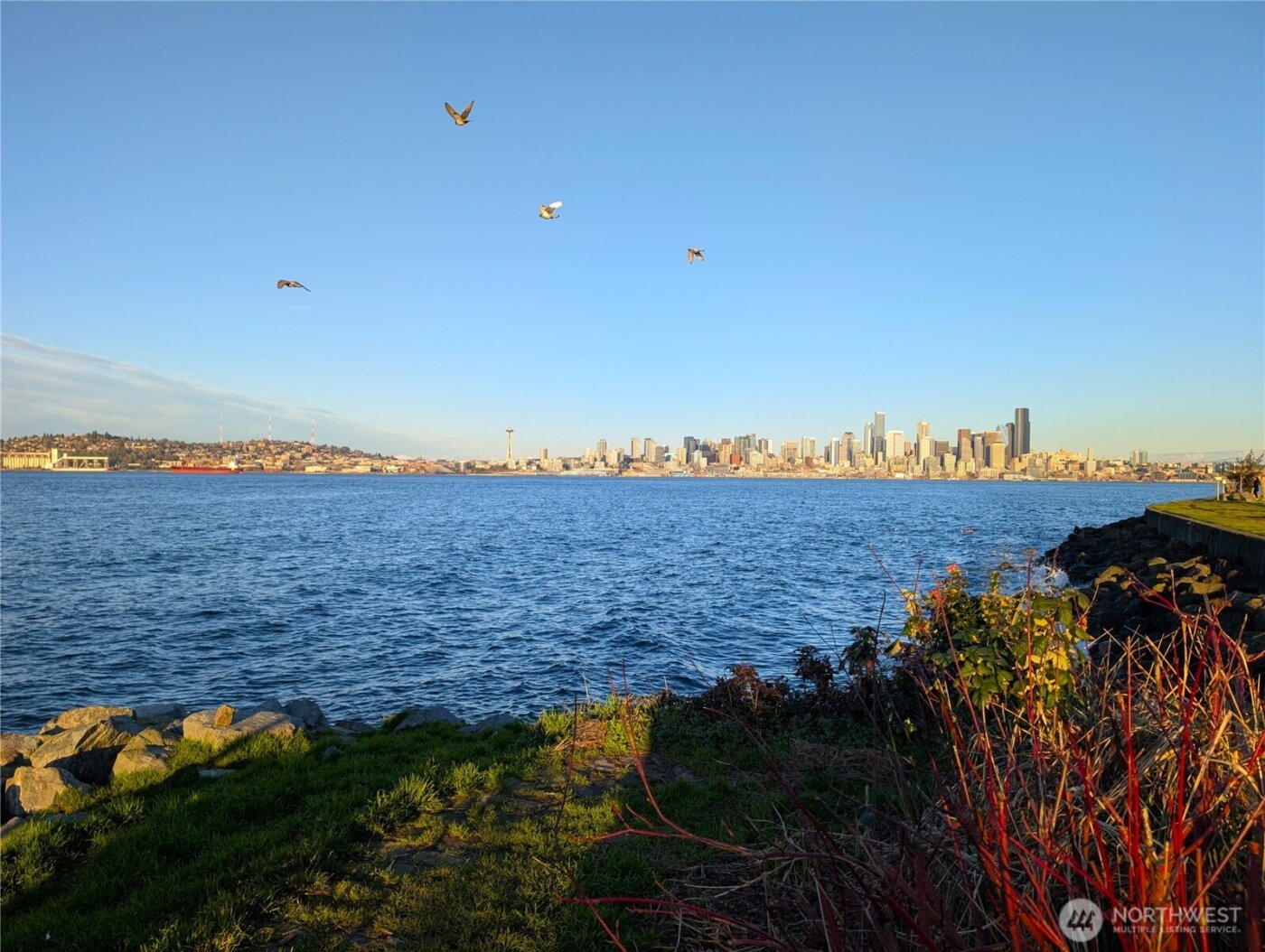 1156 Alki Avenue SW #201, Seattle, WA 98116