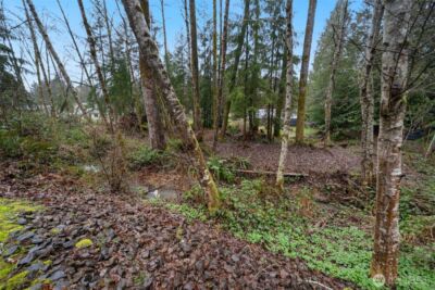 321 ROLLINGWOOD Road , Kelso, WA 98626 - Photo 35