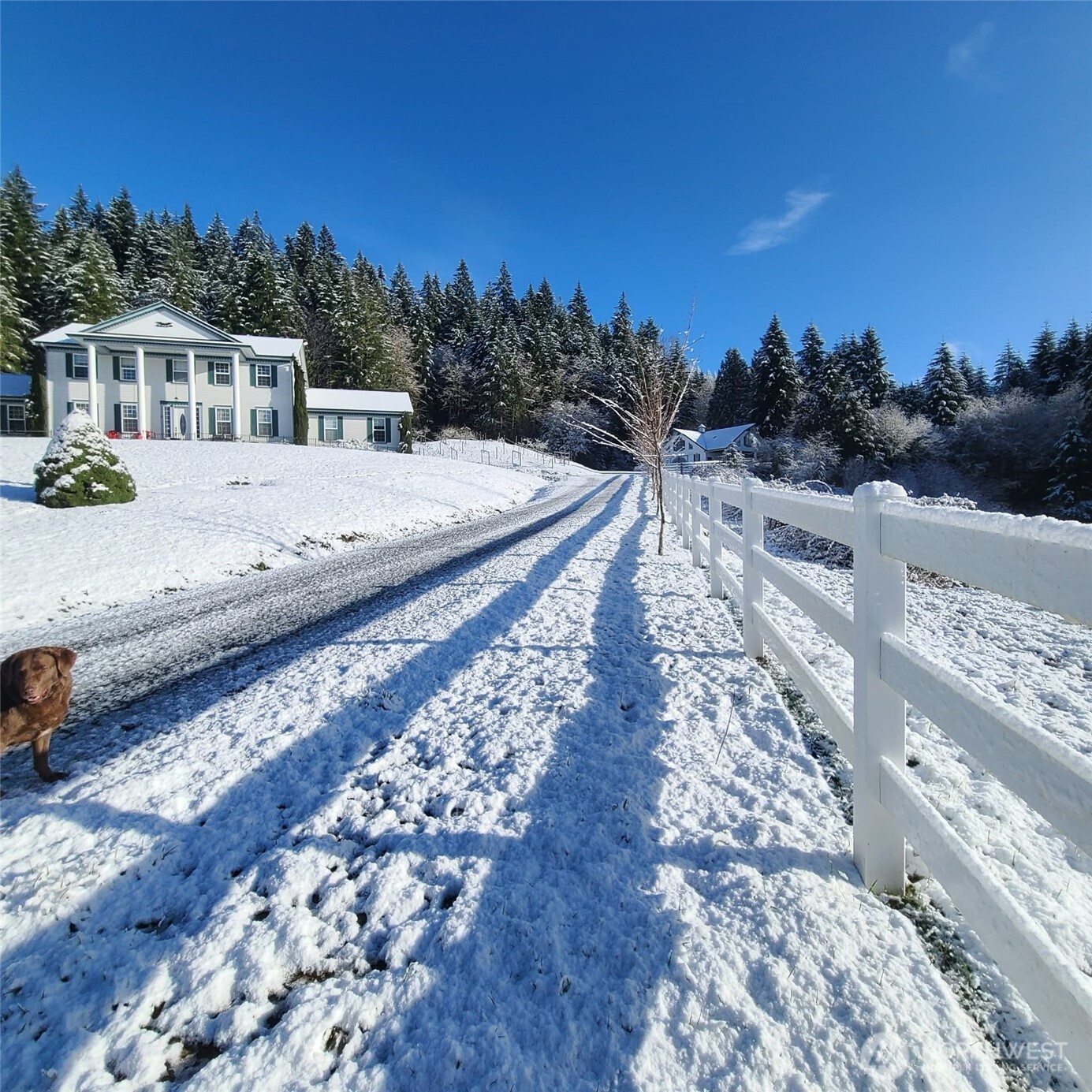 12832 Hunter Road SW, Rochester, WA 98579