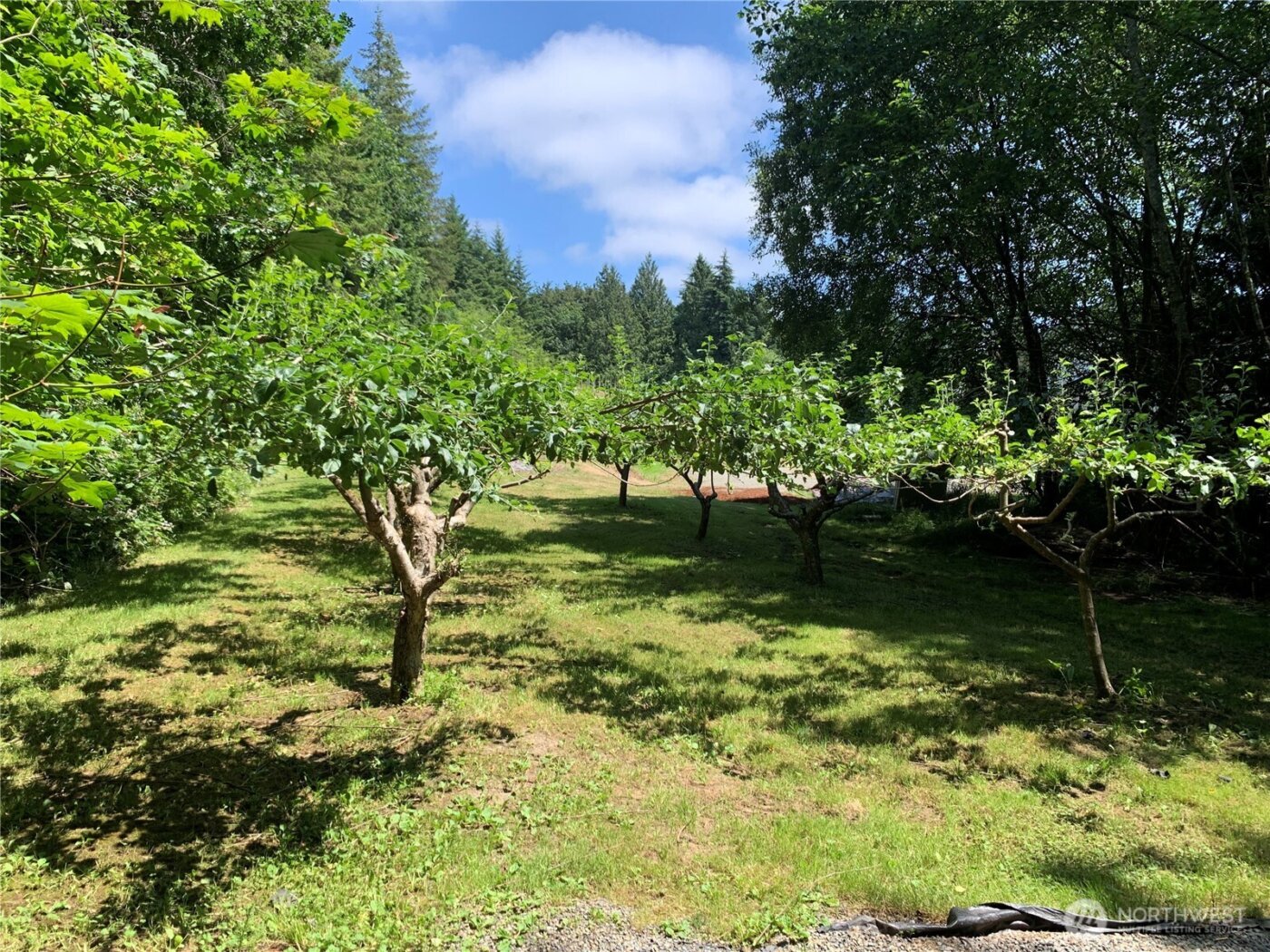 12832 Hunter Road SW, Rochester, WA 98579