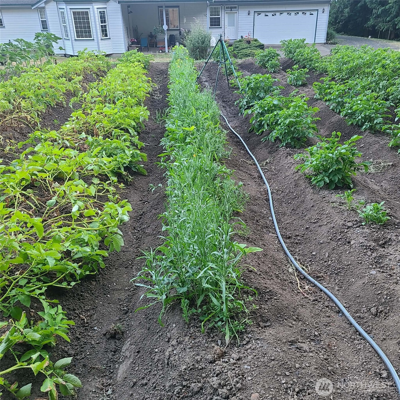 12832 Hunter Road SW, Rochester, WA 98579