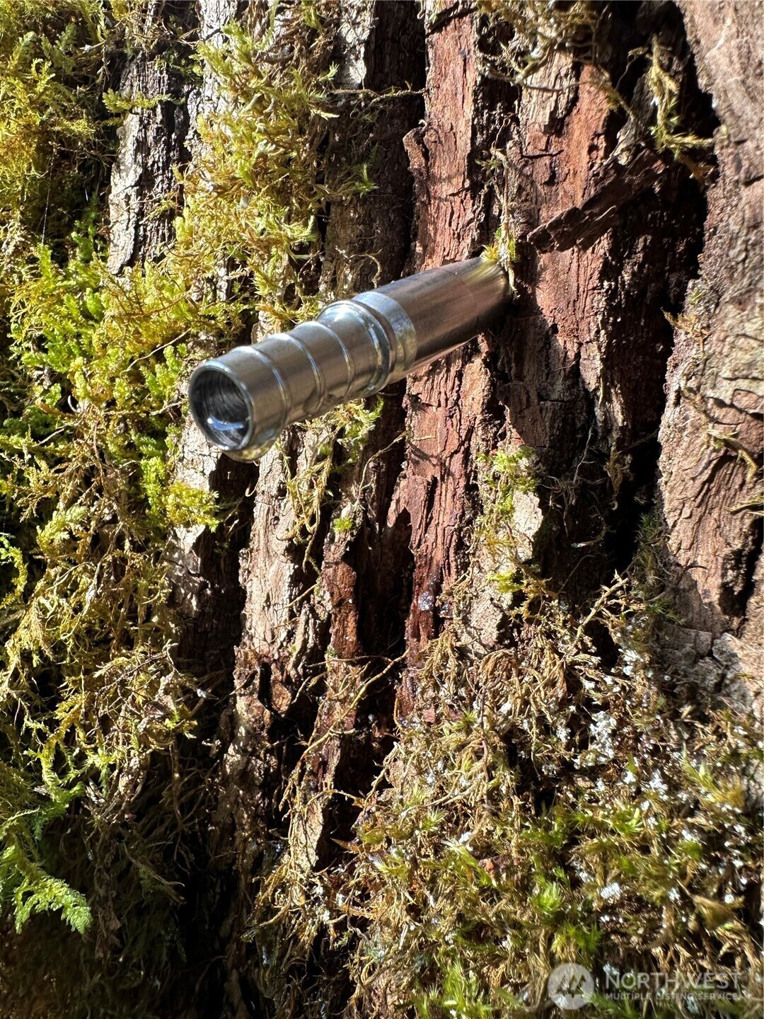 12832 Hunter Road SW, Rochester, WA 98579