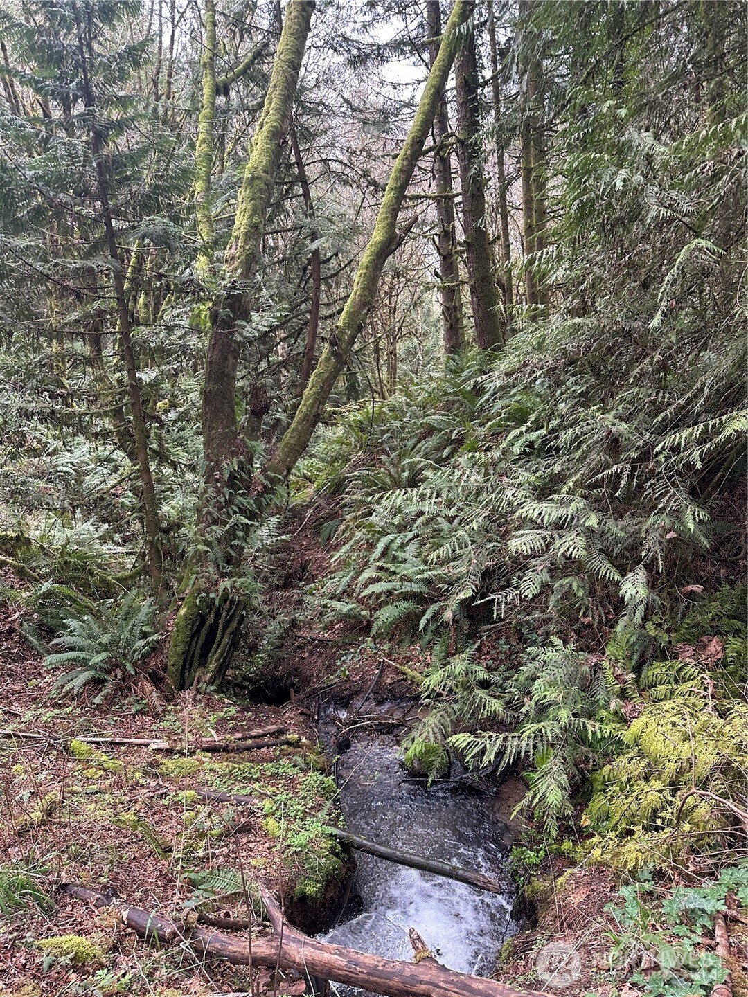 12832 Hunter Road SW, Rochester, WA 98579