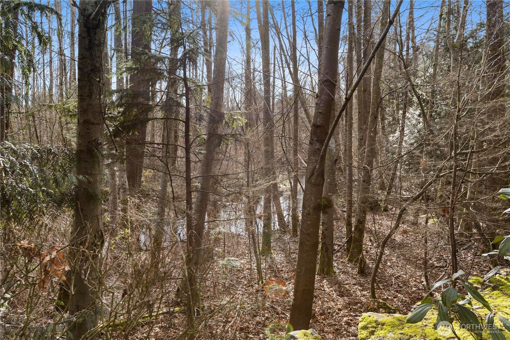 12712 Admiralty Way #F104, Everett, WA 98204