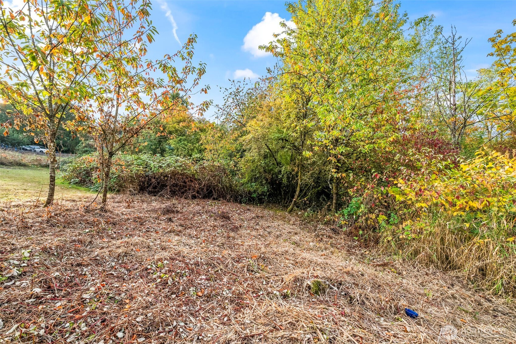 0 Fir Street and Emerald Street Street , Milton, WA 98354