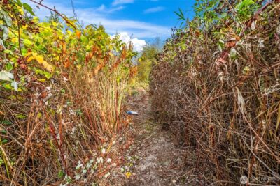 0 Fir Street and Emerald Street Street , Milton, WA 98354 - Photo 14