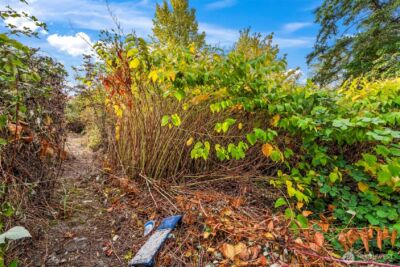 0 Fir Street and Emerald Street Street , Milton, WA 98354 - Photo 15