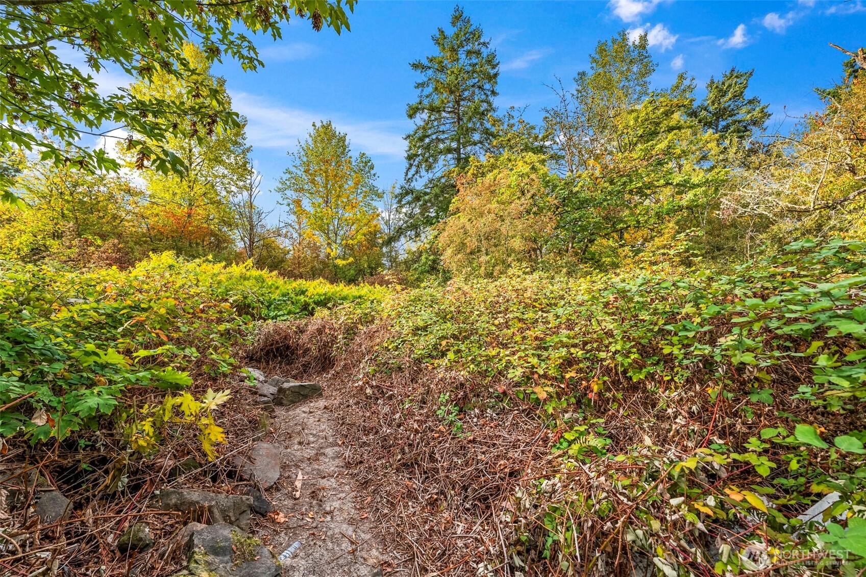 0 Fir Street and Emerald Street Street , Milton, WA 98354