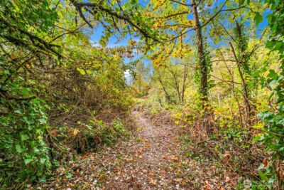 0 Fir Street and Emerald Street Street , Milton, WA 98354 - Photo 17