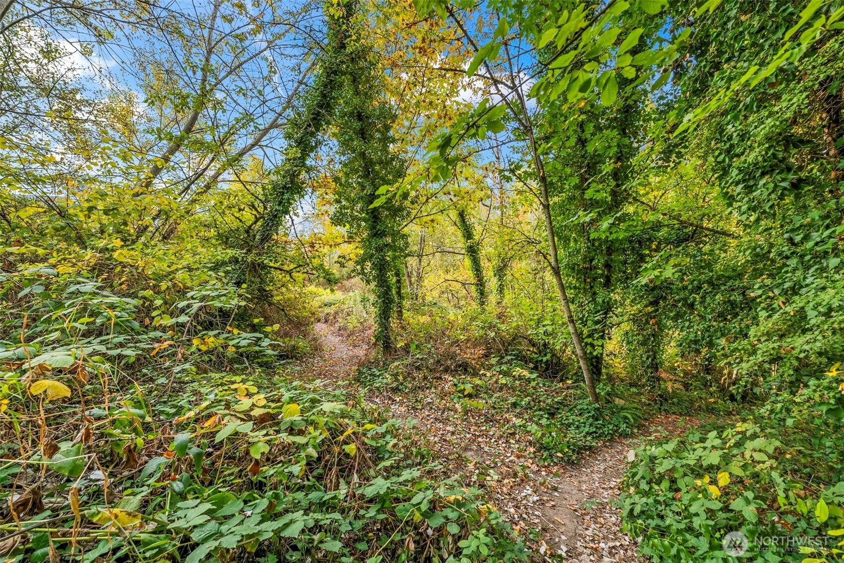 0 Fir Street and Emerald Street Street , Milton, WA 98354