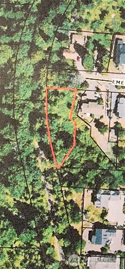 0 Fir Street and Emerald Street Street , Milton, WA 98354 - Photo 4