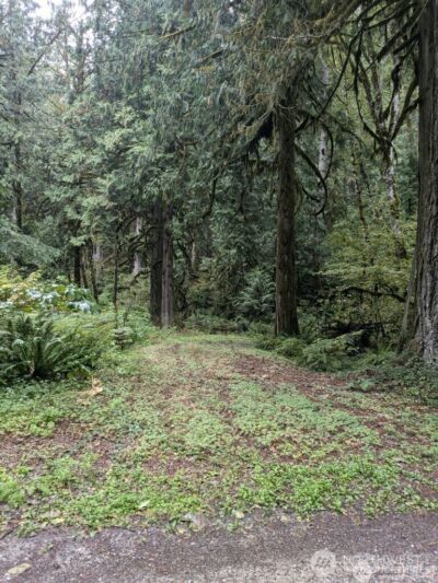 0 D1-L68 Cascade River Park Road , Marblemount, WA 98267 - Photo 1