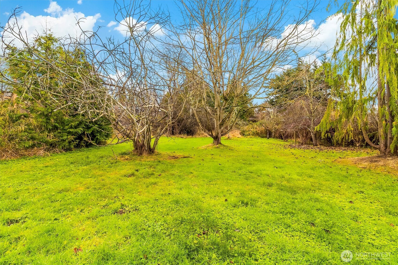 3216 Bennett Drive , Bellingham, WA 98225