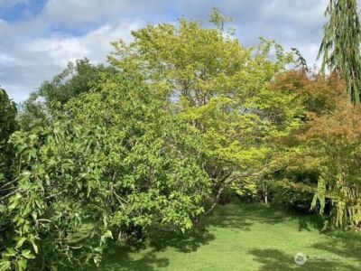 3216 Bennett Drive , Bellingham, WA 98225 - Photo 33