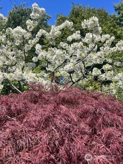 3216 Bennett Drive , Bellingham, WA 98225 - Photo 34