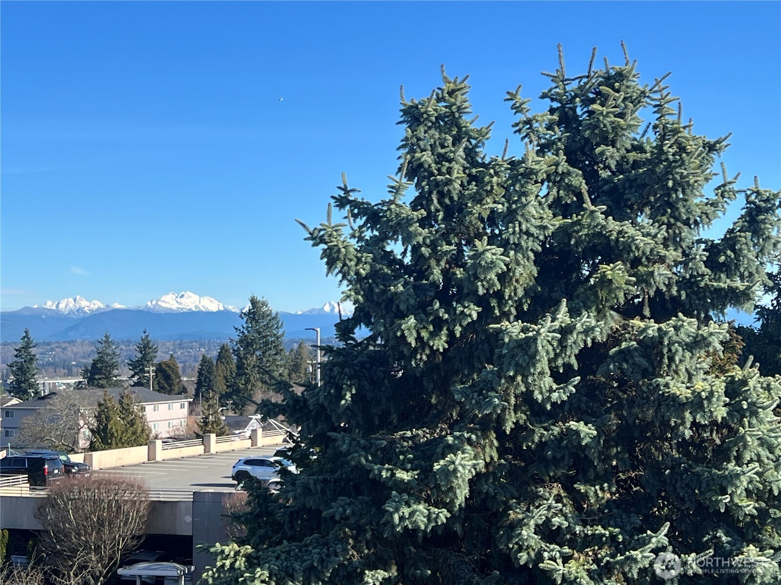 3916 Rucker Avenue , Everett, WA 98201-4875