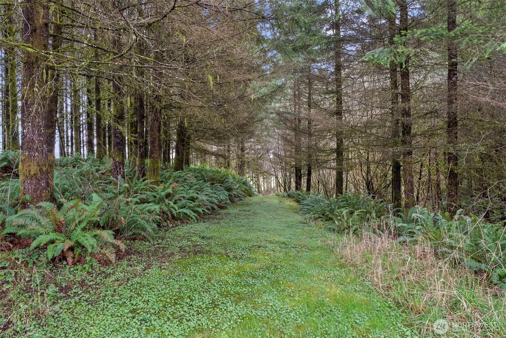 570 Wynooche Valley Road , Montesano, WA 98563