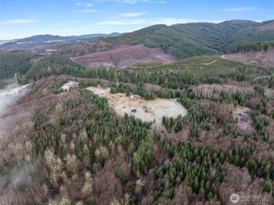 310 Dream View Lane , Cinebar, WA 98533 - Photo 32