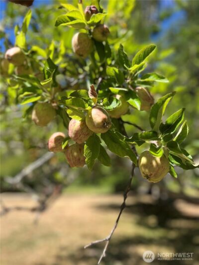 80 SE Channel Point Rd , Shelton, WA 98584 - Photo 22