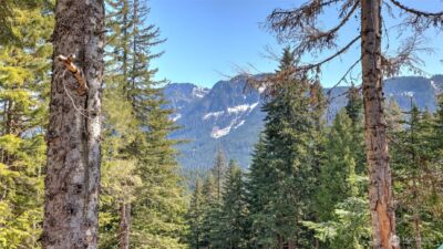 160 Innsbruck Drive , Snoqualmie Pass, WA 98068 - Photo 29