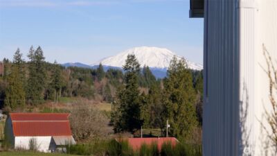 43508 NE Yale Bridge Road , Amboy, WA 98601 - Photo 3