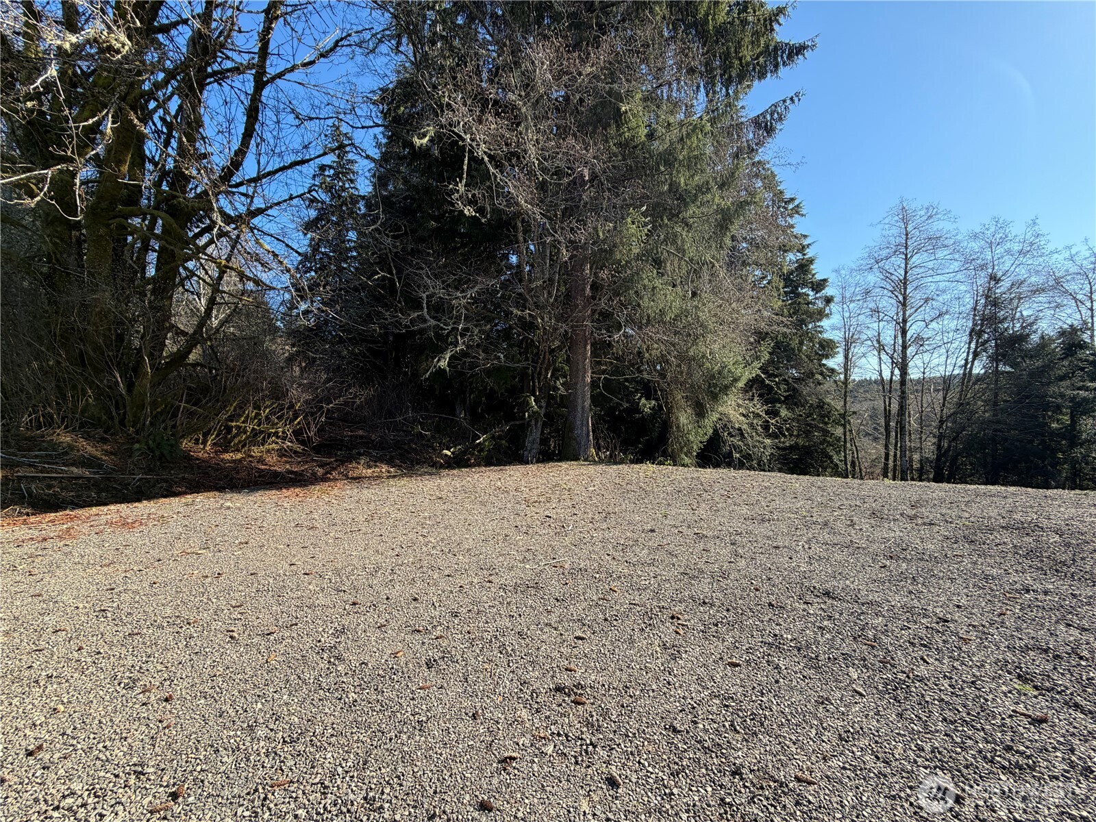 144 Tveit Road , Sekiu, WA 98381