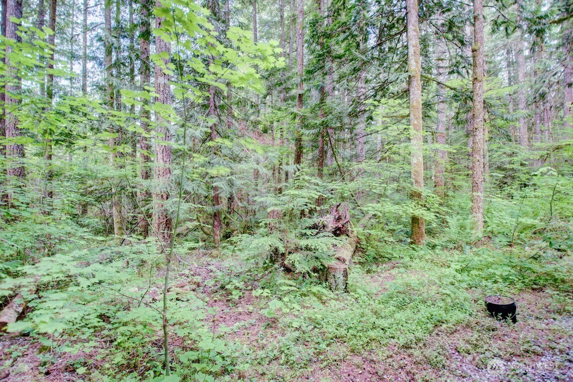 20 Goldrush Road , Deming, WA 98244