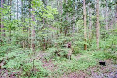 20 Goldrush Road , Deming, WA 98244 - Photo 26