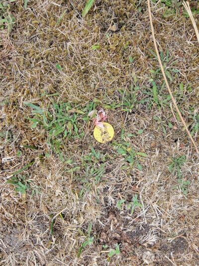 34515 I Street , Ocean Park, WA 98640 - Photo 22