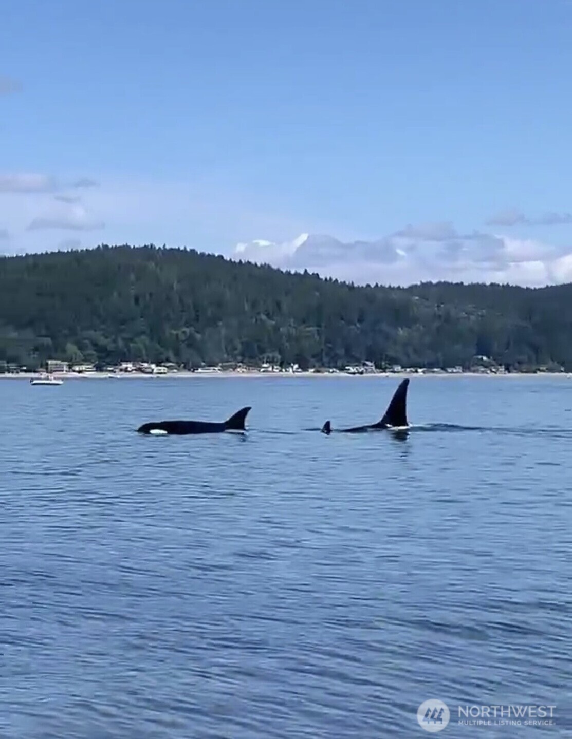 151 E Hillside Drive , Belfair, WA 98528