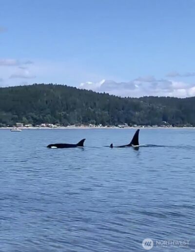 151 E Hillside Drive , Belfair, WA 98528 - Photo 3