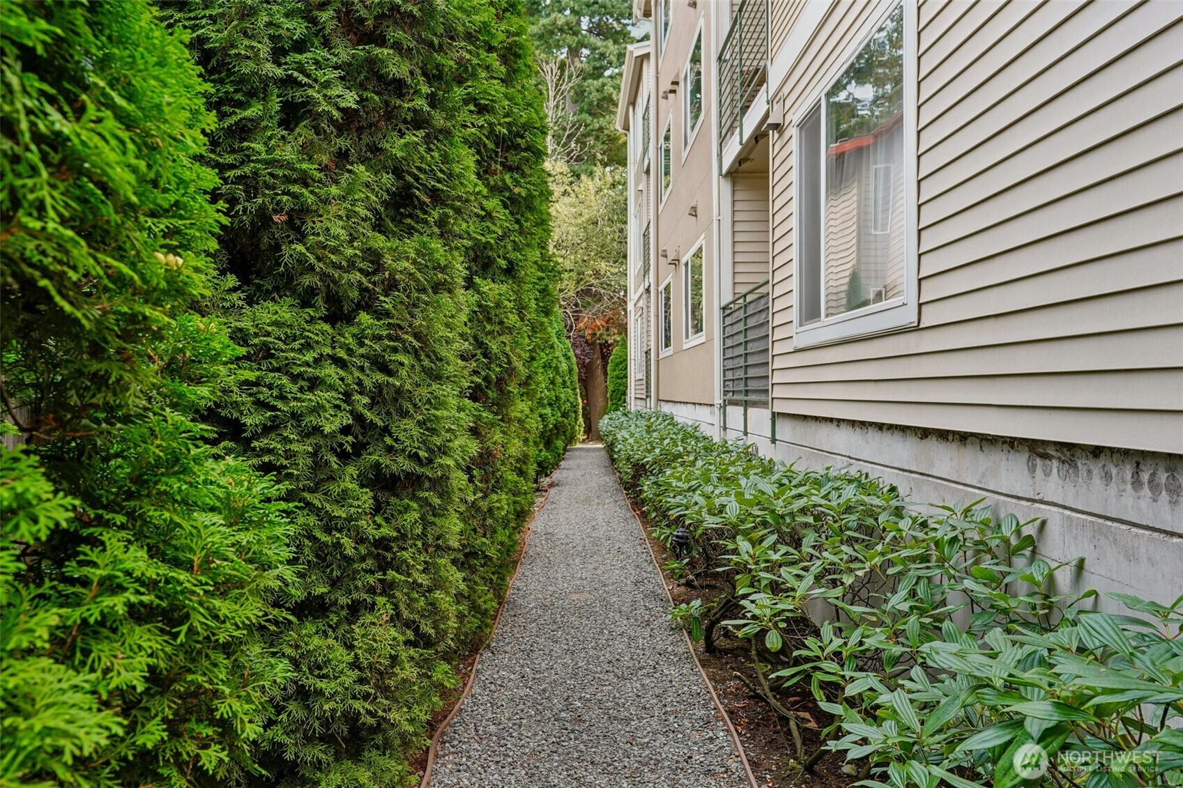 12034 15th Avenue NE #204, Seattle, WA 98125