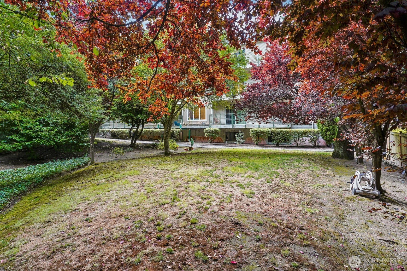 12034 15th Avenue NE #204, Seattle, WA 98125