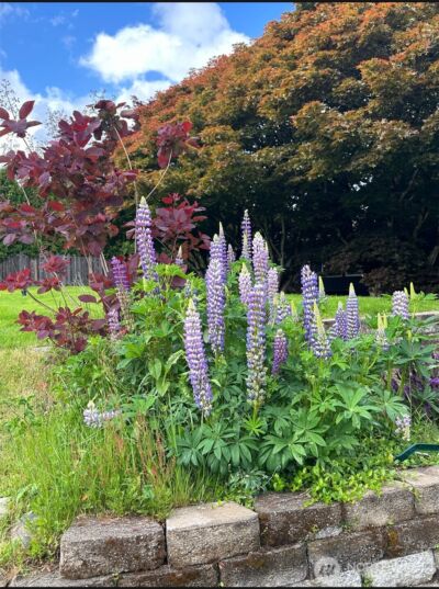 5412 93rd Drive SE, Snohomish, WA 98290 - Photo 32
