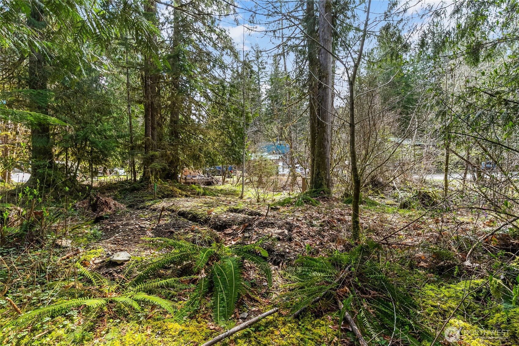 17045 Iceberg Road , Glacier, WA 98244