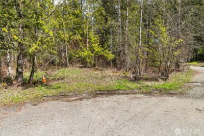 17045 Iceberg Road , Glacier, WA 98244 - Photo 4