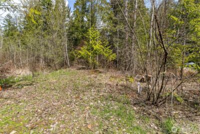 17045 Iceberg Road , Glacier, WA 98244 - Photo 5