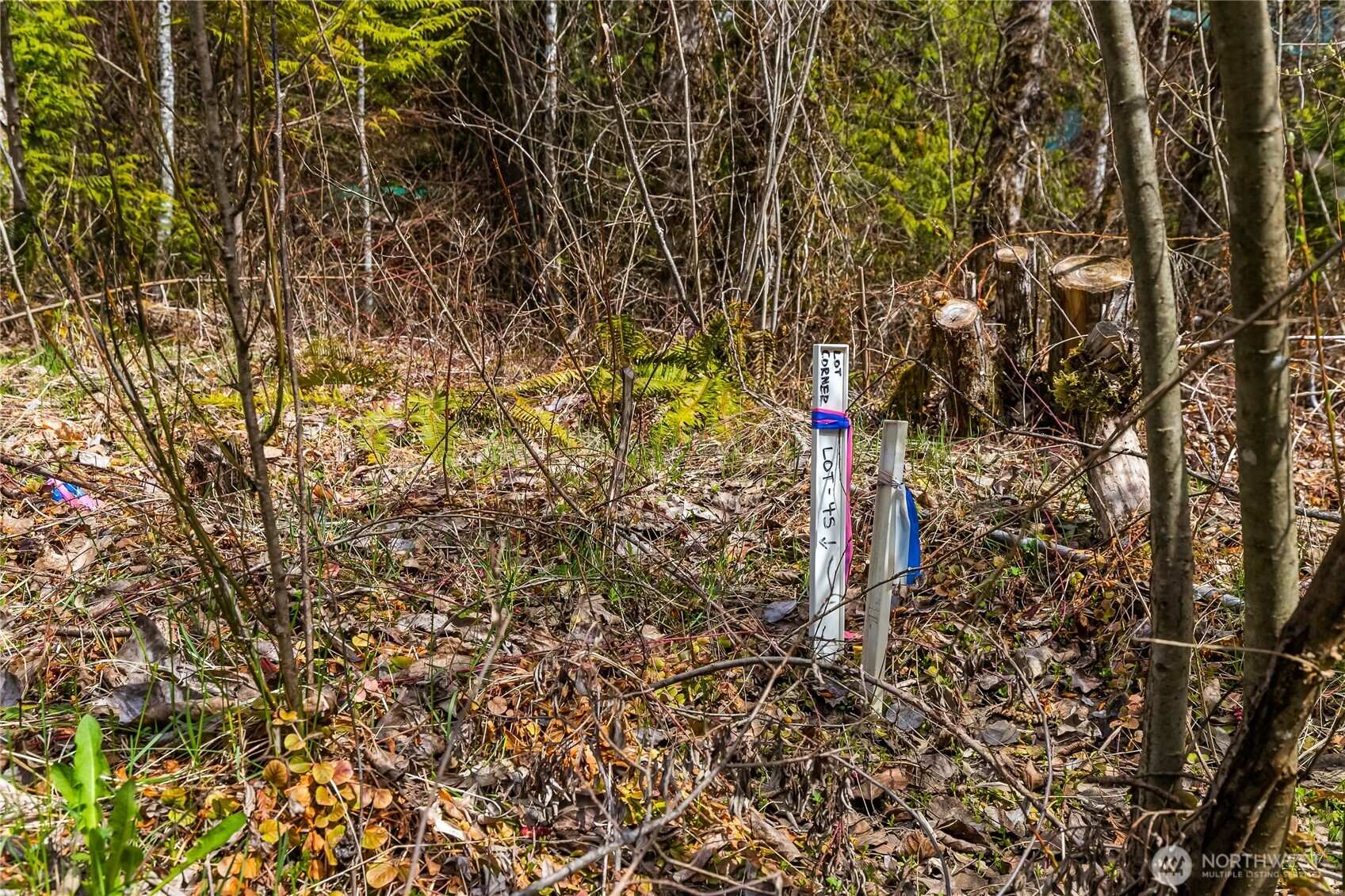 17045 Iceberg Road , Glacier, WA 98244