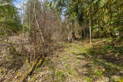 17045 Iceberg Road , Glacier, WA 98244 - Photo 7