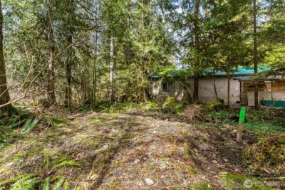 17045 Iceberg Road , Glacier, WA 98244 - Photo 8