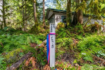 17045 Iceberg Road , Glacier, WA 98244 - Photo 9