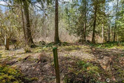 17045 Iceberg Road , Glacier, WA 98244 - Photo 10