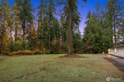 12528 Odell Road NE, Duvall, WA 98019-7318 - Photo 37